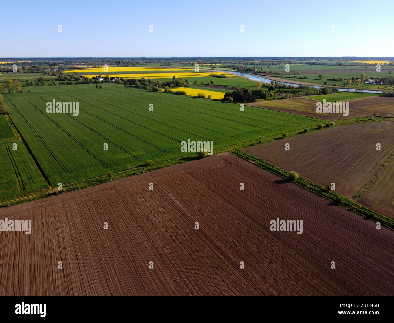 Zulawy Wislane in primavera, campi dall'alto Foto Stock