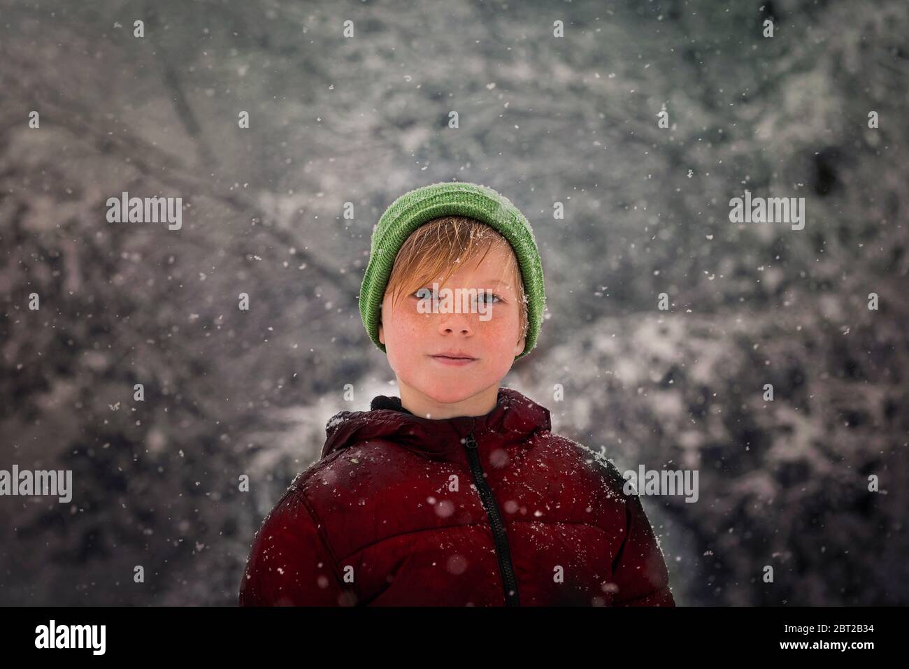 Ritratto di un ragazzo che si trova nella foresta nella neve, USA Foto Stock