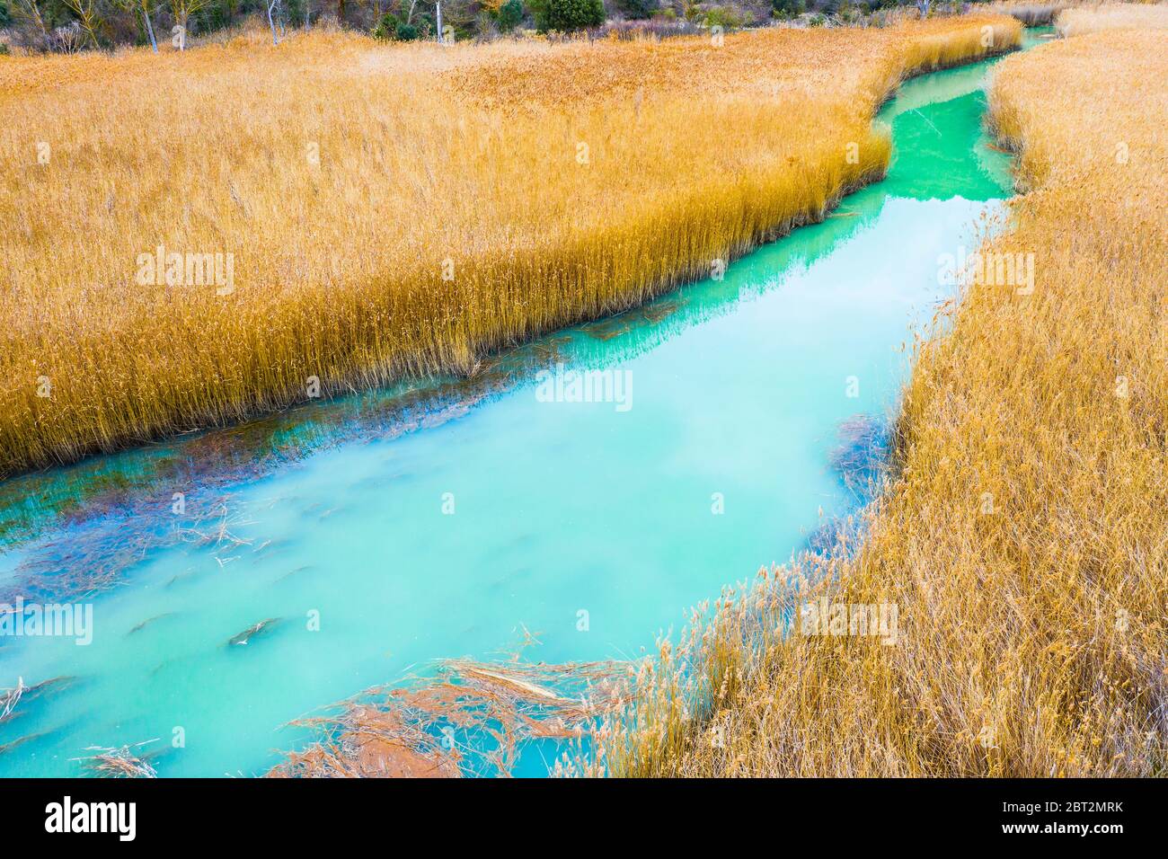 Letto di reed e fiume. Foto Stock