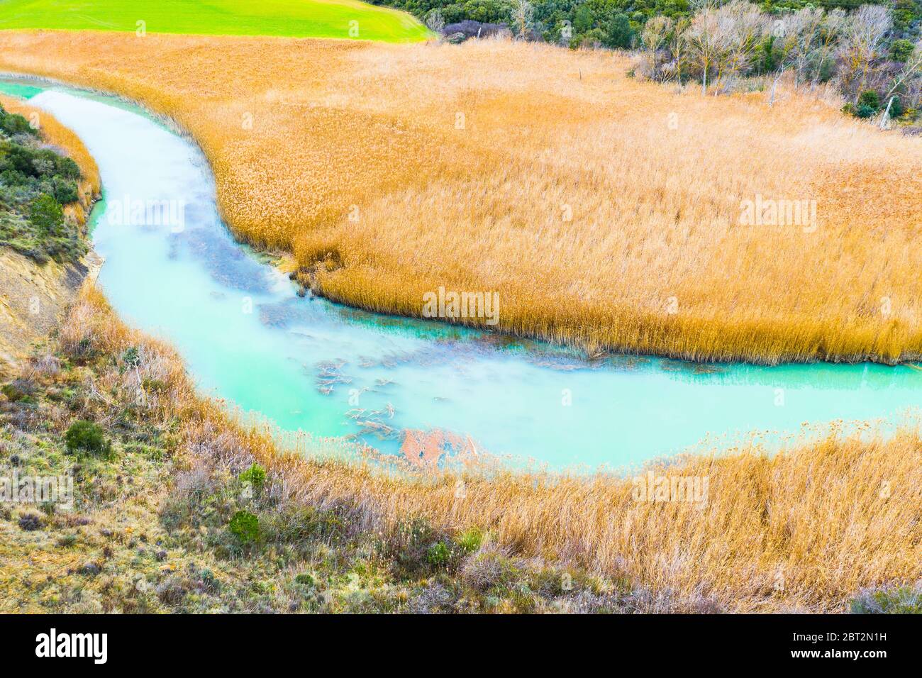 Letto di reed e fiume. Foto Stock