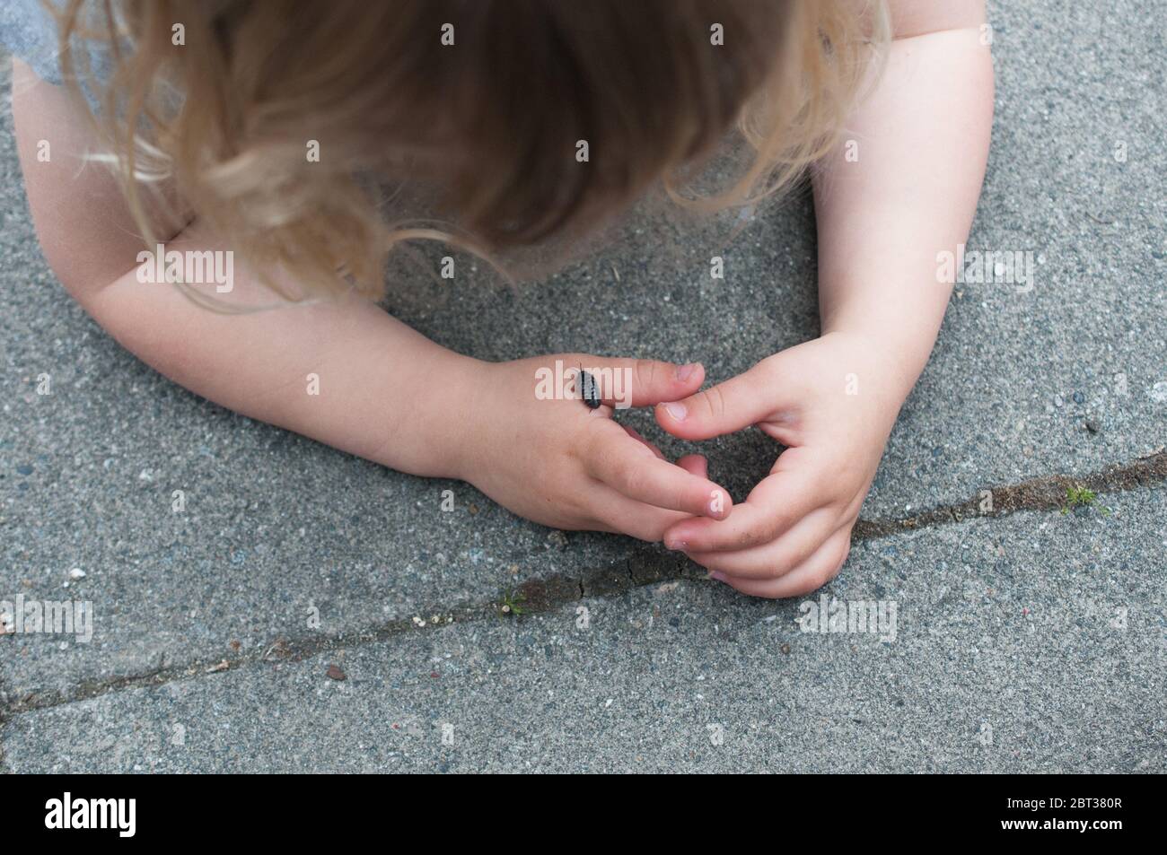 Bambino piccolo che guarda un bug nero. Piccola ragazza seduta sul pavimento esplorando e imparando circa la natura e gli insetti. Versione del modello. Foto Stock
