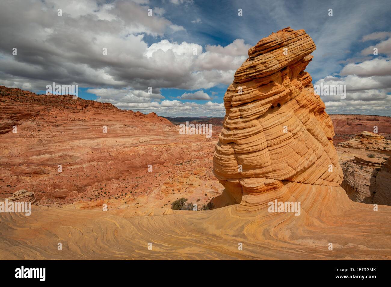 Sandstone Butte, Paria Canyon-Vermilion Cliffs Wilderness, Arizona, Stati Uniti Foto Stock
