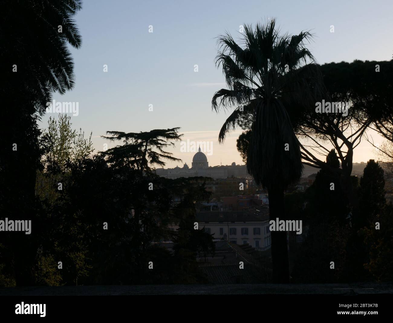 Il Petersdom a Roma con palme e alberi Foto Stock