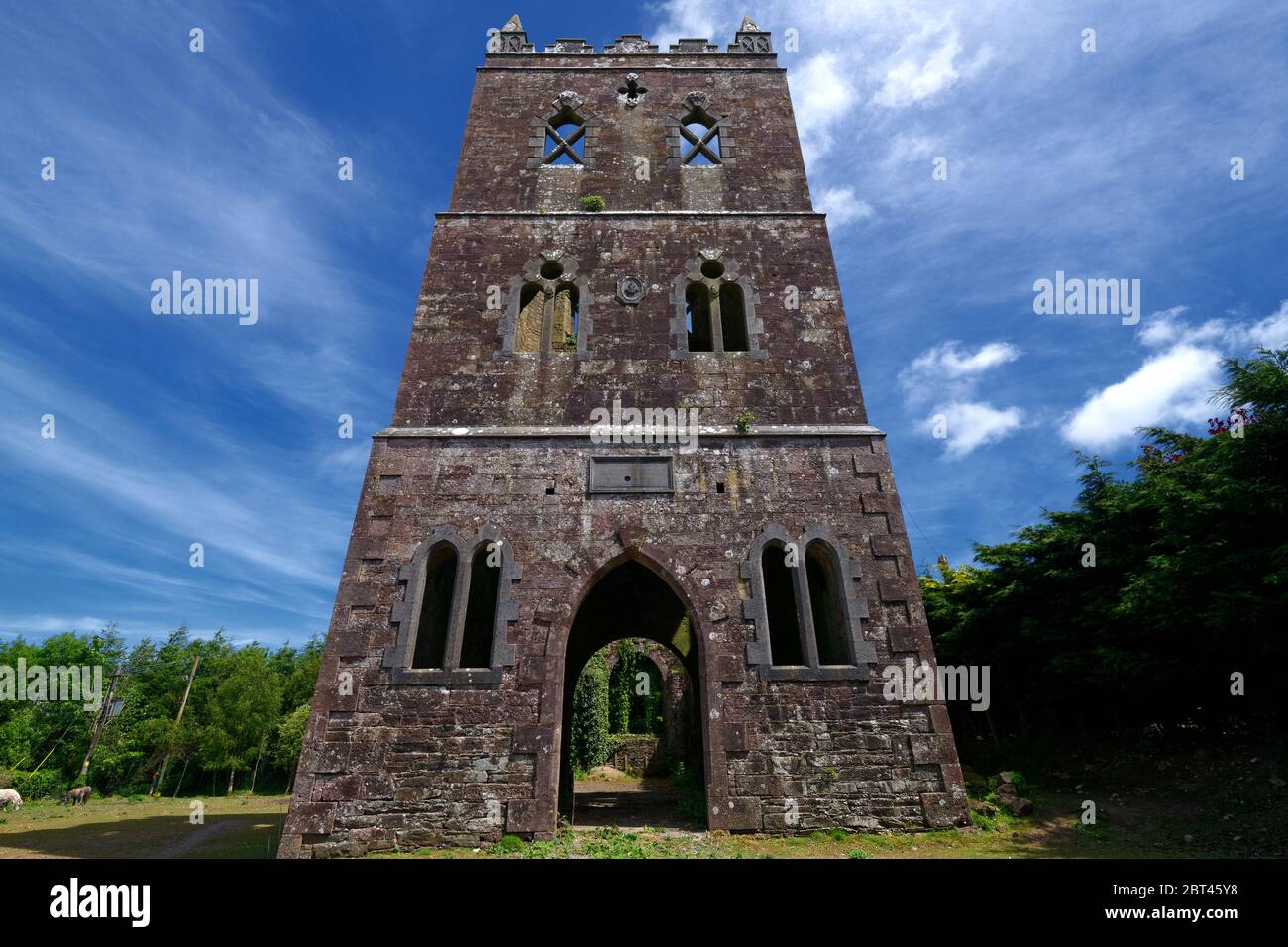 La Rocca di Cashel noto anche come Cashel dei Re e San Patrizio Rock, è un sito storico situato a Cashel, nella contea di Tipperary, Irlanda. Foto Stock