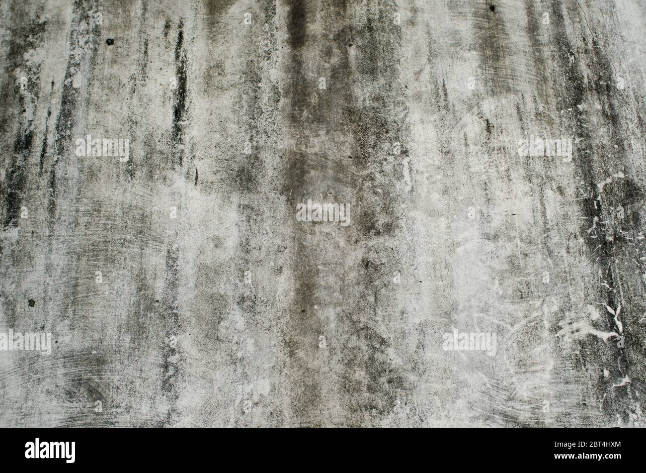 vecchio fungo coperto parete di cemento grigio Foto Stock