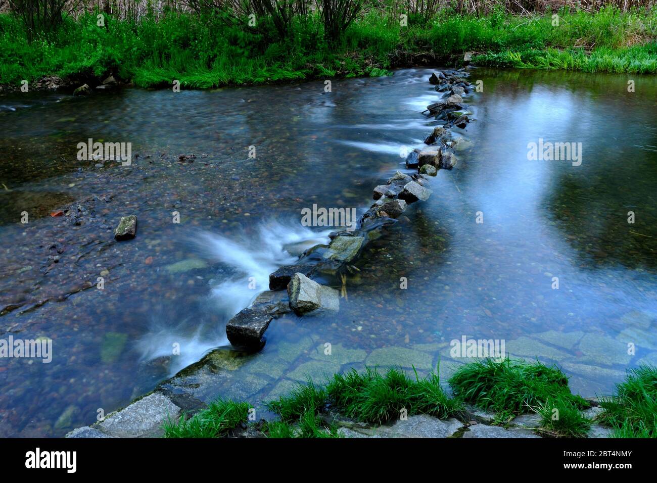 fresco, fiori, naturale, natura, primavera, stagione, salute, bellezza, naturale, stagione, tempo, campagna, acqua, fiore, cornice, giardino, giardinaggio, Foto Stock