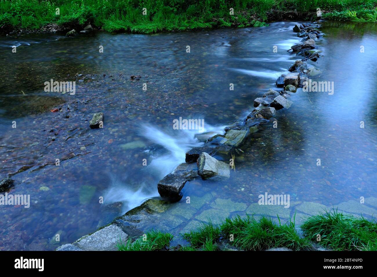 fresco, fiori, naturale, natura, primavera, stagione, salute, bellezza, naturale, stagione, tempo, campagna, acqua, fiore, cornice, giardino, giardinaggio, Foto Stock