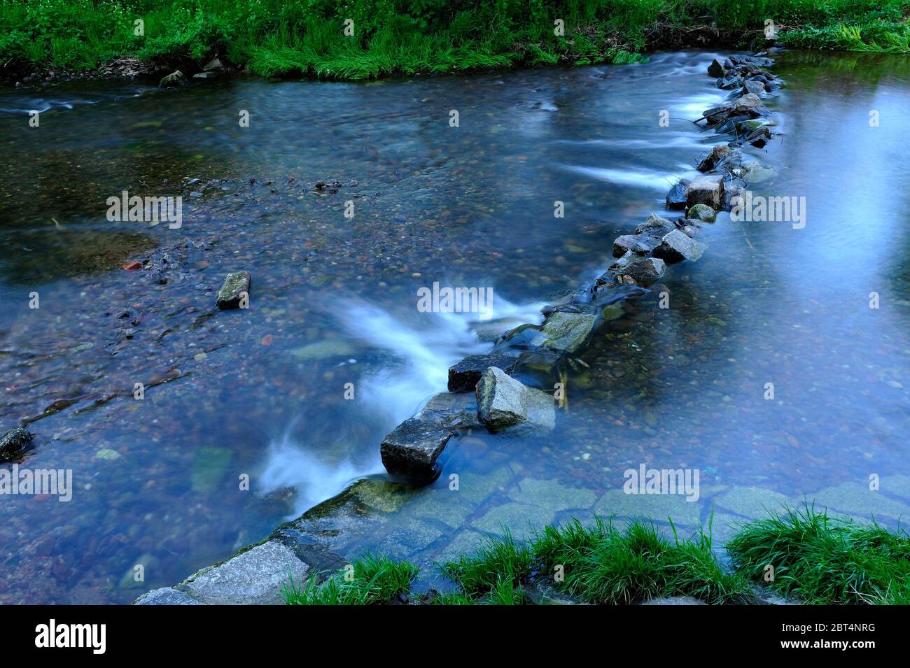 fresco, fiori, naturale, natura, primavera, stagione, salute, bellezza, naturale, stagione, tempo, campagna, acqua, fiore, cornice, giardino, giardinaggio, Foto Stock
