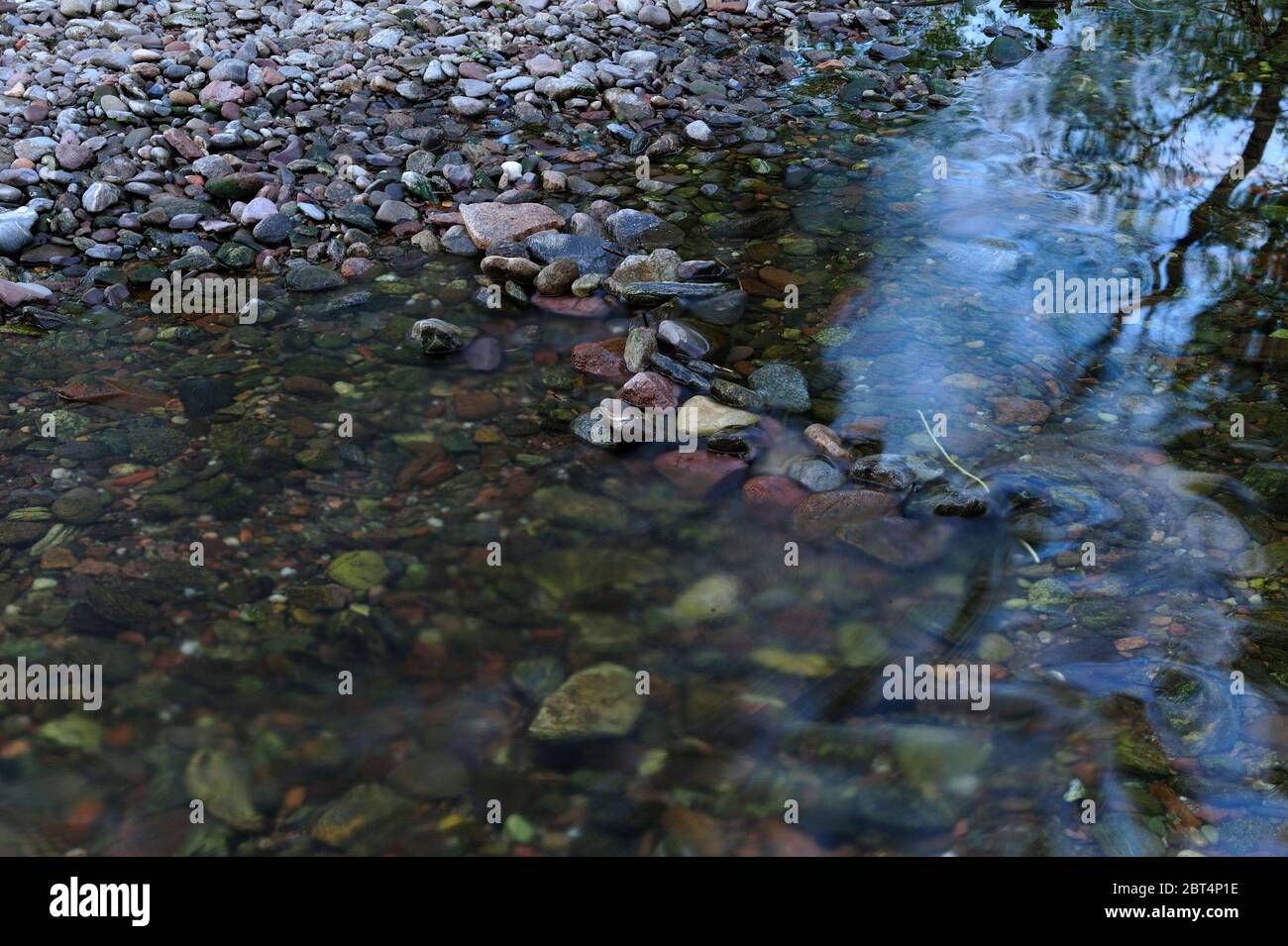 fresco, fiori, naturale, natura, primavera, stagione, salute, bellezza, naturale, stagione, tempo, campagna, acqua, fiore, cornice, giardino, giardinaggio, Foto Stock