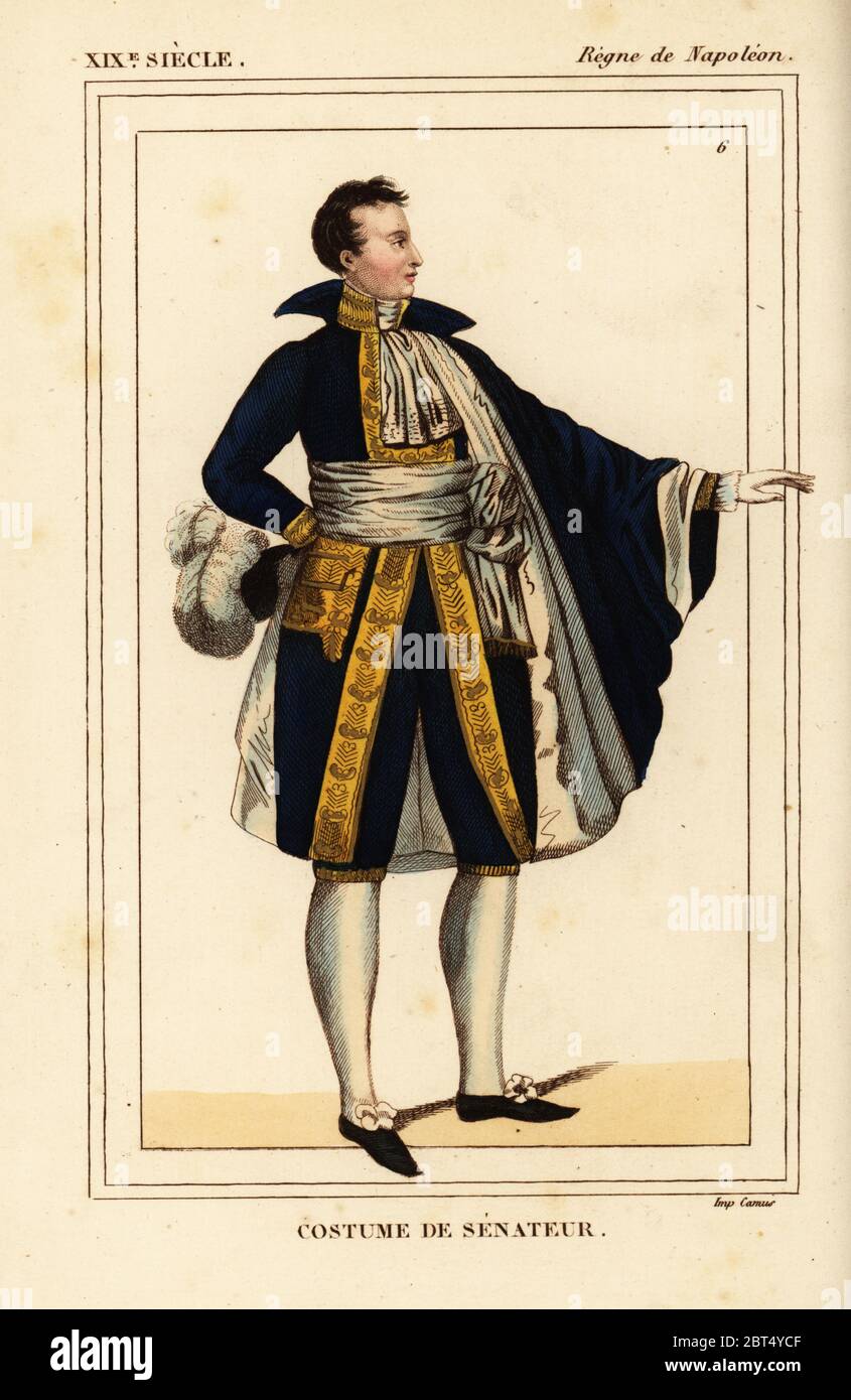 Costume di un senatore francese, epoca napoleonica. Litografia Handcolored da Leopoldo Massard da Le Bibliophile Jacob aka Paul Lacroix i costumi Historiques de la France (costumi storici della Francia), Amministrazione de Librairie, Parigi, 1852. Foto Stock