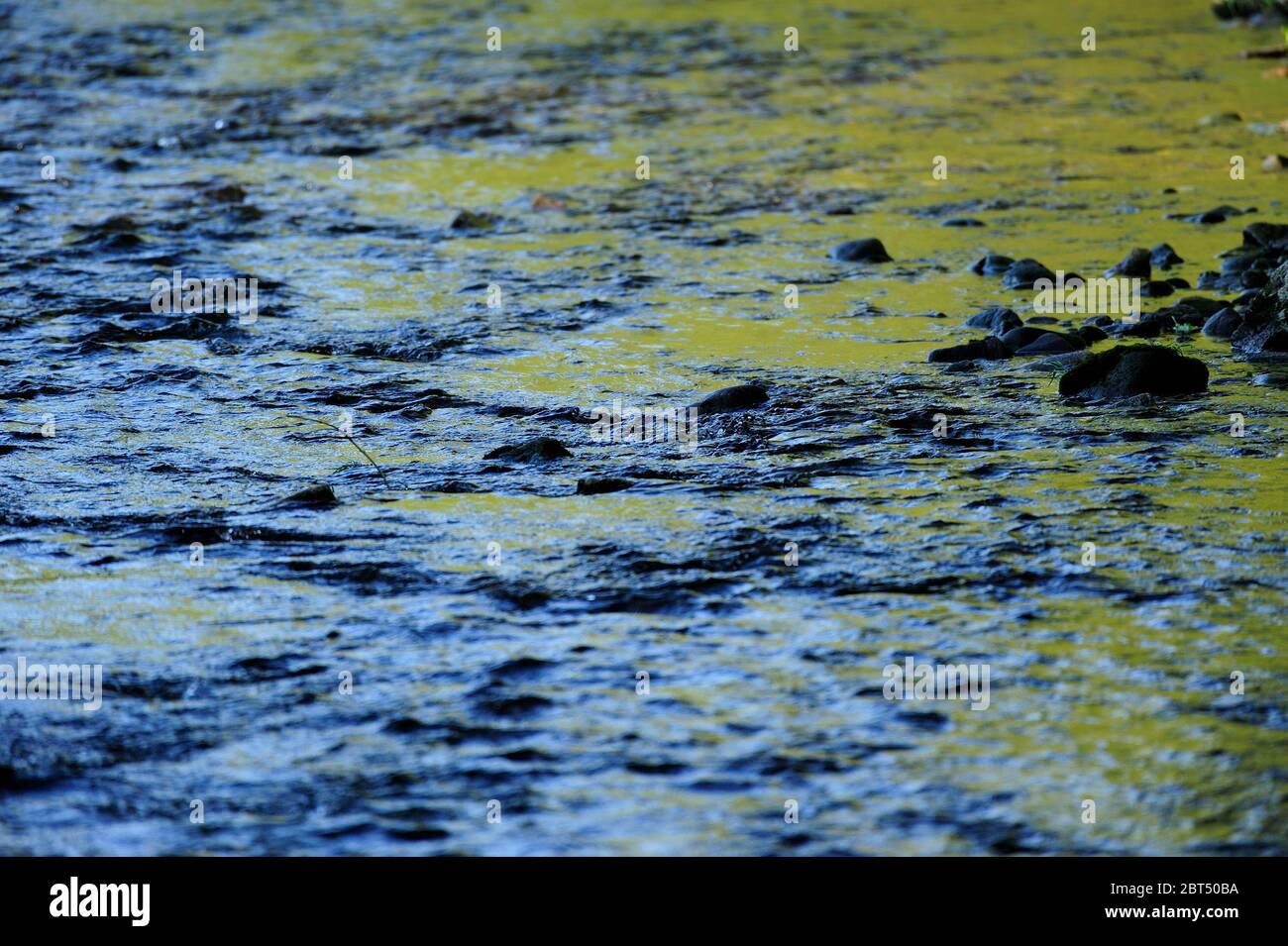 fresco, naturale, europa, primavera, stagione, salute, bellezza, naturale, stagione, tempo, campagna, acqua, fiume, paesaggio, fiume limpido, reset, Foto Stock