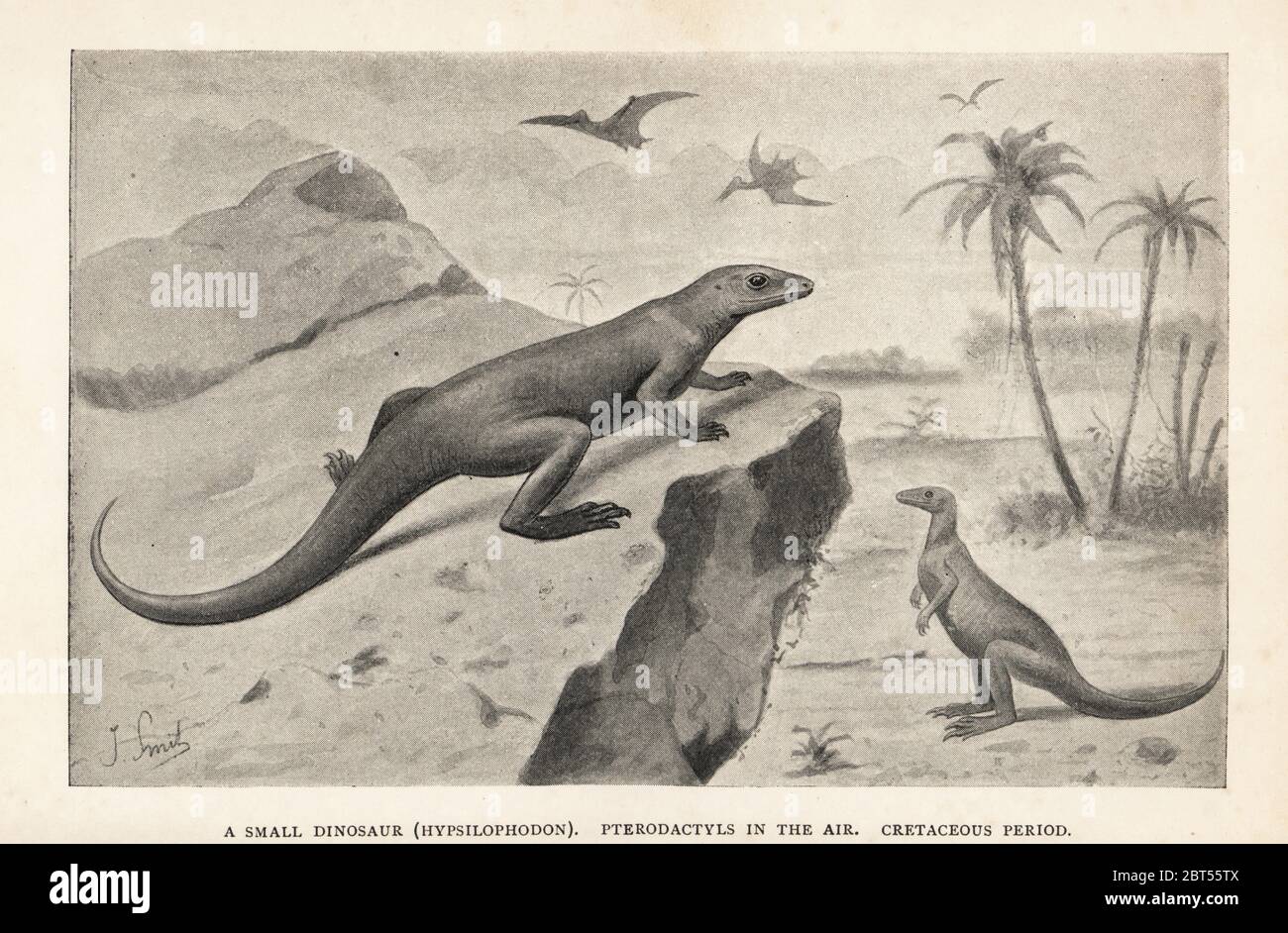 Un piccolo dinosauro, Hypsilophodon, e Pterodactyls in aria. Stampa dopo un'illustrazione di Joseph Smit da Henry Neville Hutchinsons creature di altri giorni, Popular Studies in Paleontology, Chapman and Hall, Londra, 1896. Foto Stock