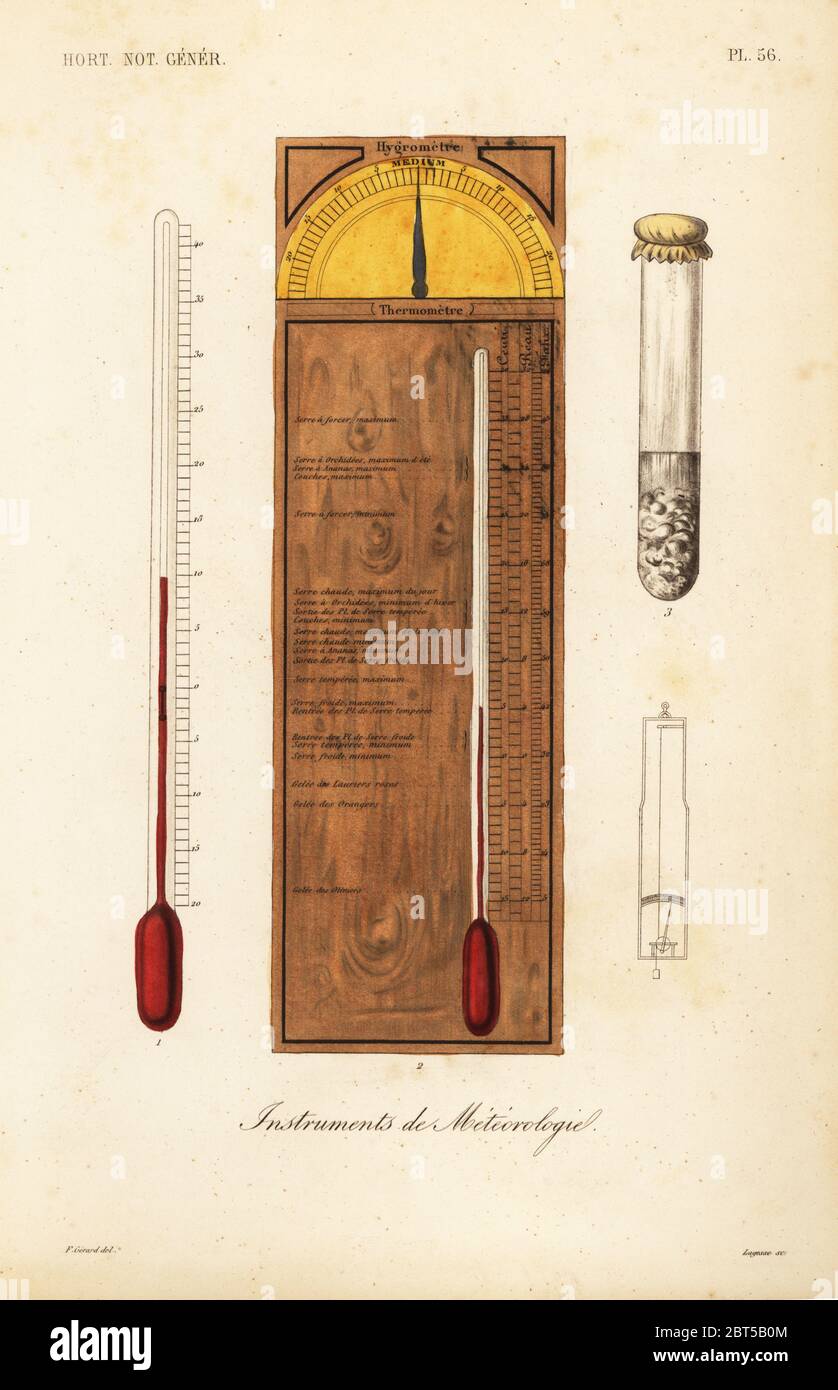 Strumenti di meteorologia. Daniel Rutherfords termometro minimo 1, termometro a tre scale con igrometro 2, pronosticon 3 e igrometro per la tensione dei capelli 4. Incisione in acciaio a mano di Lagesse dopo un'illustrazione scientifica di F. Gerard di Pierre Oscar Reveil, A. Dupuis, p. Gerard e Francois Herincqs la Rigne vegetal: Orticoltura: Jardin Potager et Jardin Fruitier, L. Guerin, Parigi, 1864-1871. Foto Stock