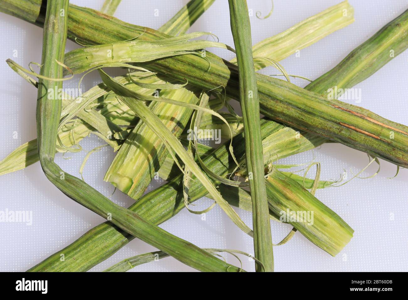 Podi di drumstick o pos di Moringa oleifera vegetali isolati su sfondo bianco Foto Stock