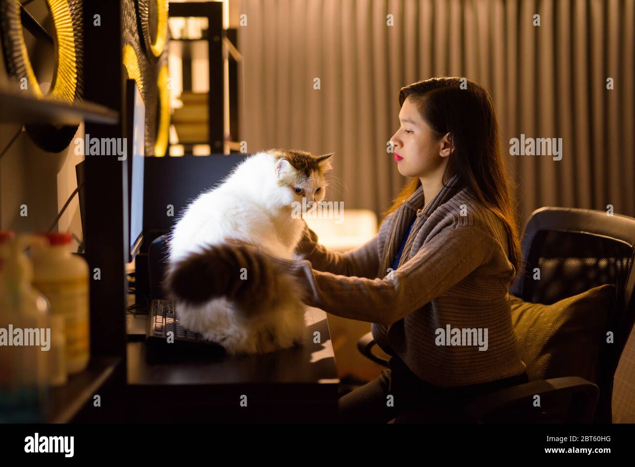 Giovane donna asiatica che tiene il gatto dell'animale domestico mentre lavora da casa Foto Stock