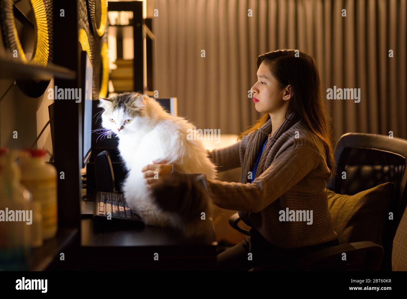 Giovane donna asiatica che tiene il gatto dell'animale domestico mentre lavora da casa Foto Stock