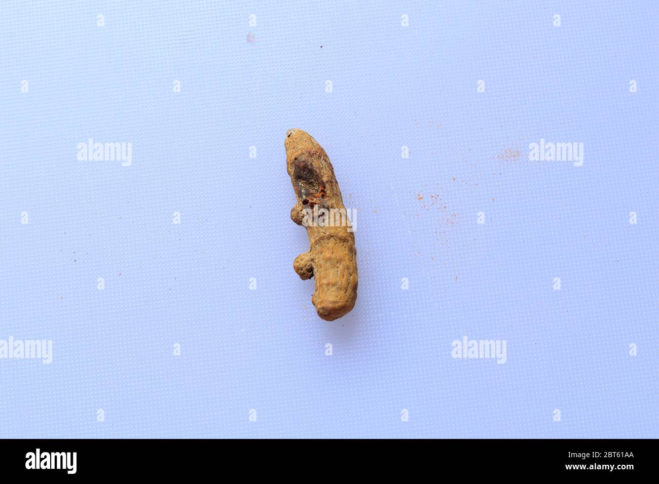 Radice curcuma fresca secca isolata su fondo bianco Foto Stock