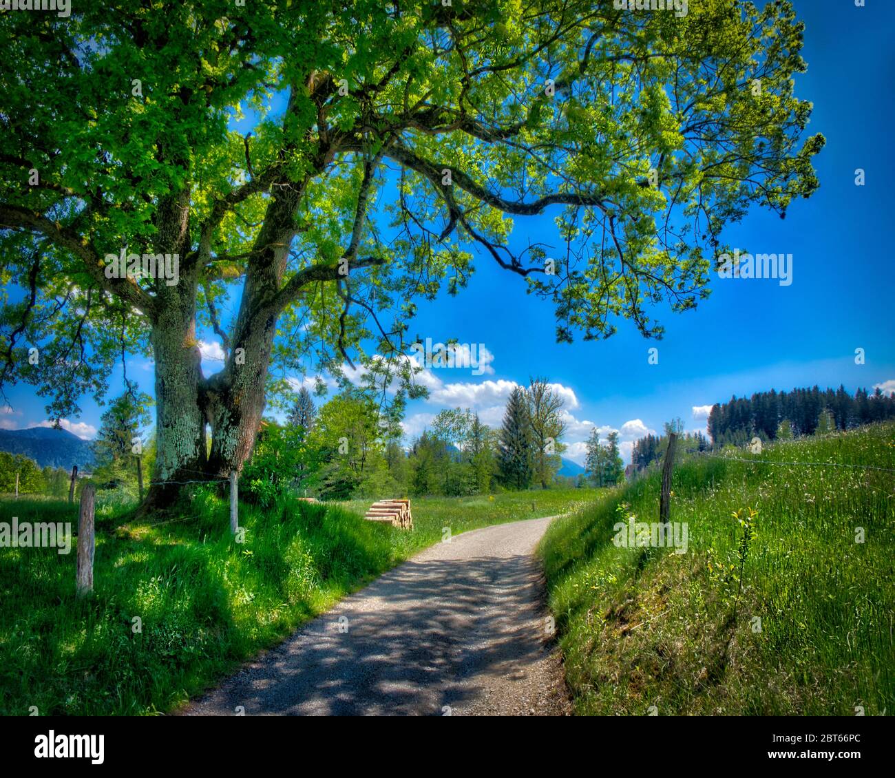 DE - BAVIERA: Primavera a Wackersberg sopra Bad Toelz (HDR-Image) Foto Stock