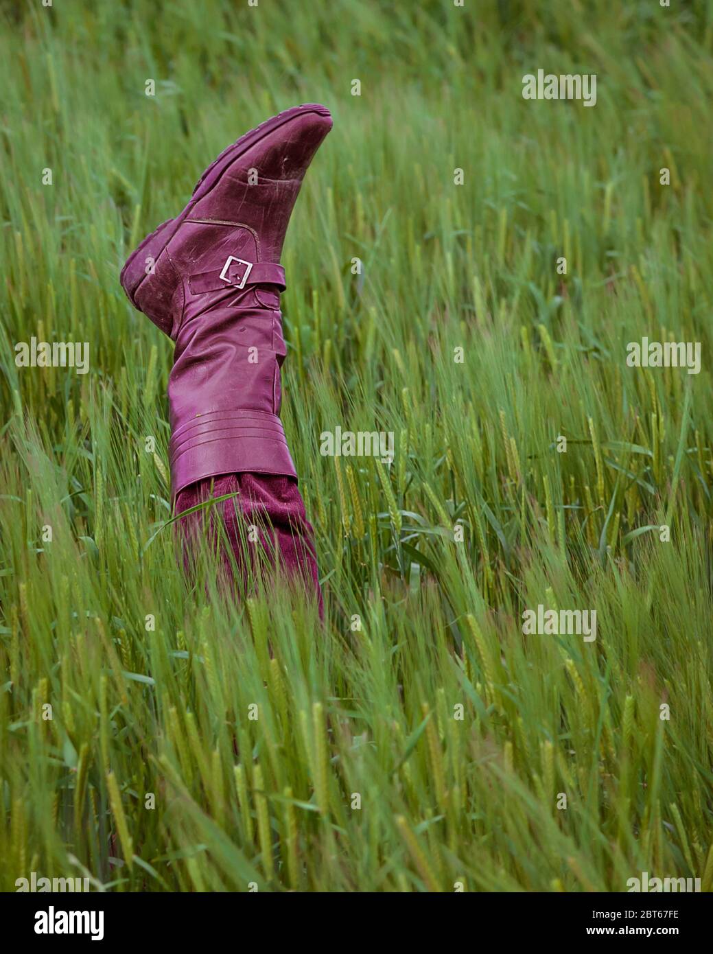 Un'emozione spensierata e contenta mostrata con stivali da donna che si stagliano da un campo di grano, zona di Swellendam, Provincia del Capo Occidentale, Sudafrica. Foto Stock