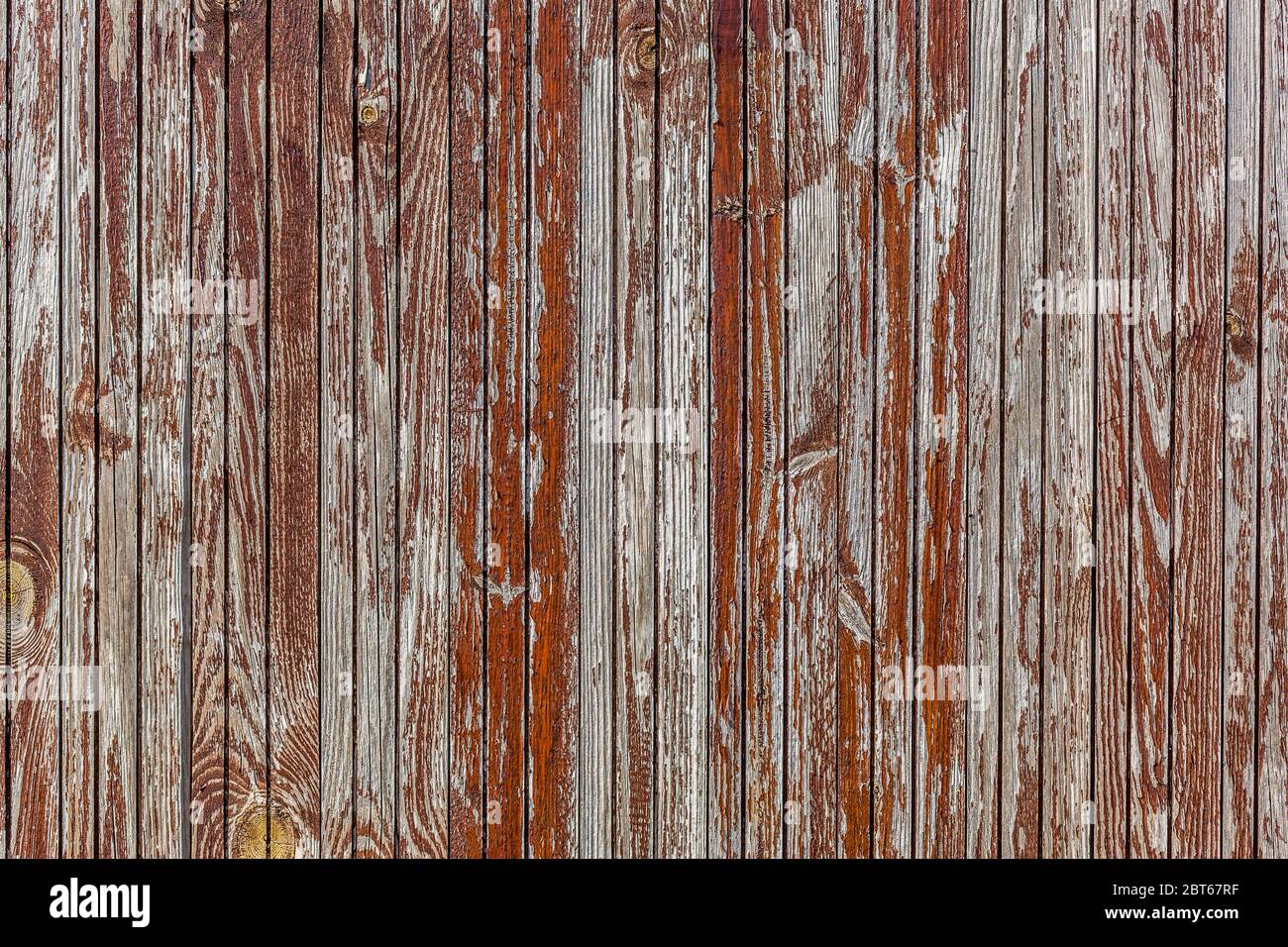 Fienile grigio parete in legno plancare ampia texture. Vecchio legno massiccio doghe sfondo rustico. Superficie quadrata di legno duro scuro resistente agli agenti atmosferici. Grugnoso sbiadito Foto Stock