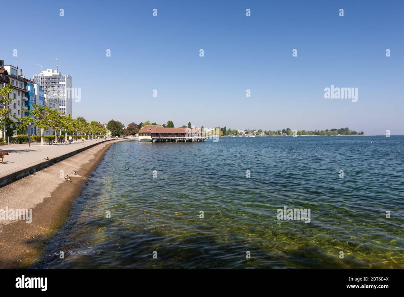 Splendida vista sulla costa del lago di Costanza a rorschach, in svizzera Foto Stock