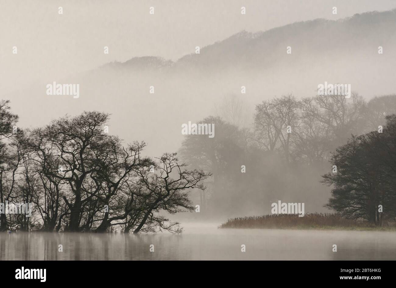 Carlingwark Loch in mattina nebbia, Castello Douglas Foto Stock