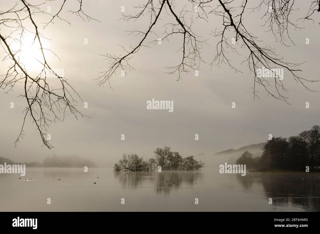 Carlingwark Loch in mattina nebbia, Castello Douglas Foto Stock
