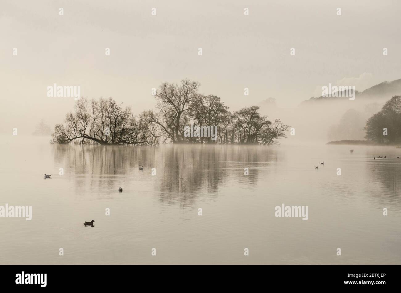 Carlingwark Loch in mattina nebbia, Castello Douglas Foto Stock