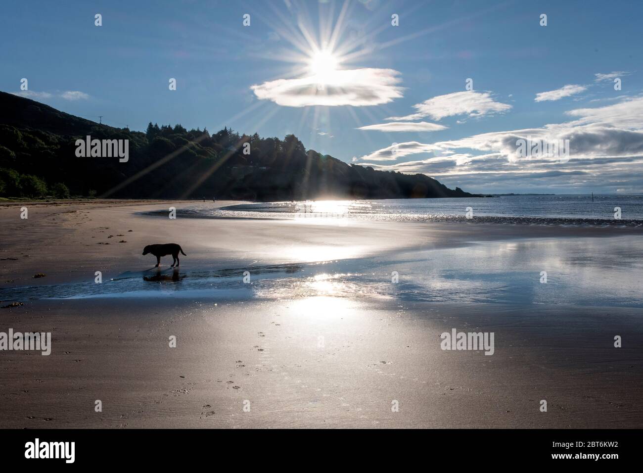 LLabrador sillhouette a Sandyhills Beach all'alba Foto Stock