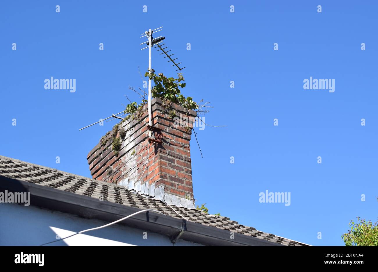 Camino in mattoni con vecchia antenna TV coperta di piante verdi su sfondo blu cielo. Foto Stock