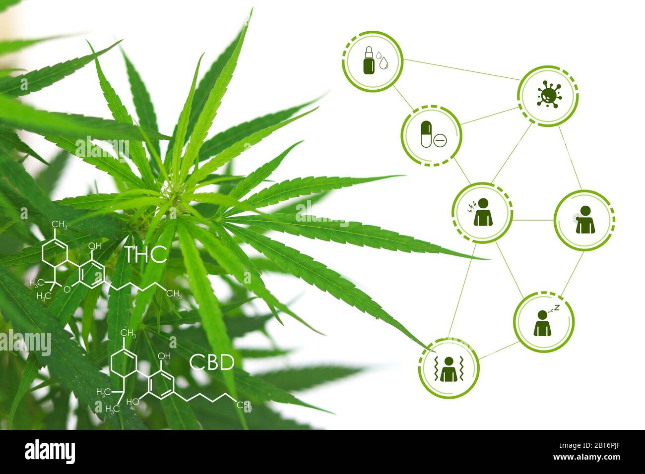 Cannabis con formula chimica e icona sui benefici della cannabis fluttuante intorno. Foto Stock