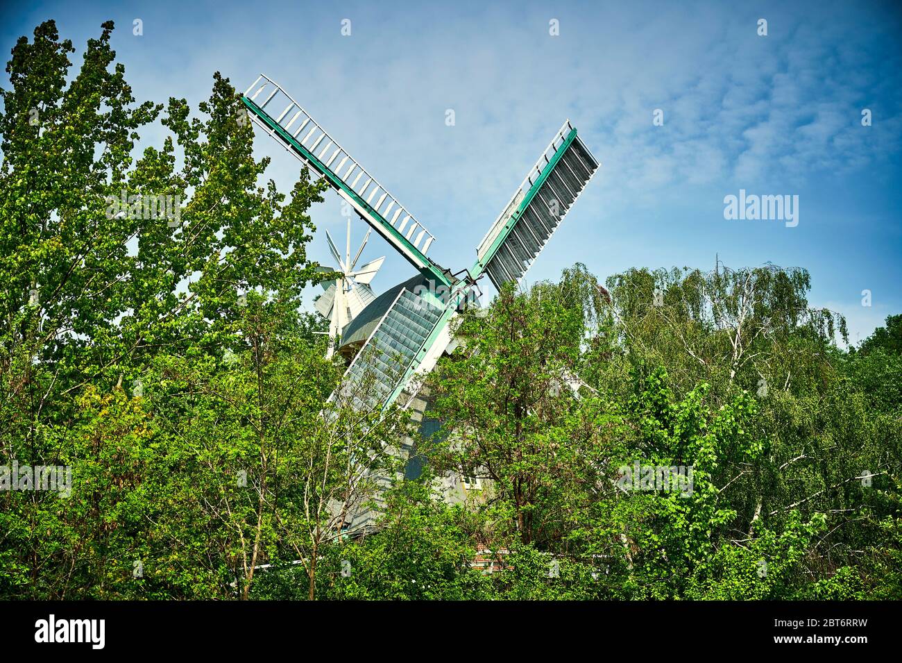 Mulino a vento storico e restaurato a Berlino, Germania, tra gli alberi in primavera. Foto Stock