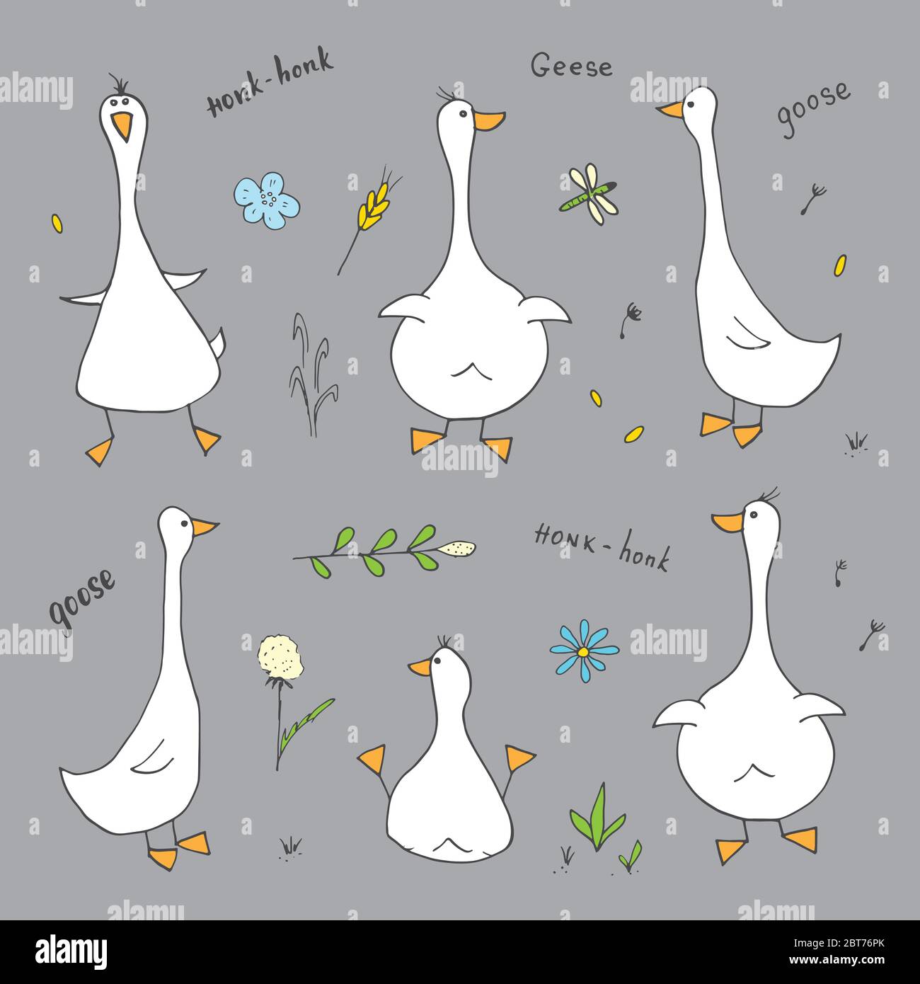 Set di doodles d'oca. Cute disegno di oche. Illustrazione del vettore Cartoon disegnata a mano . Illustrazione Vettoriale