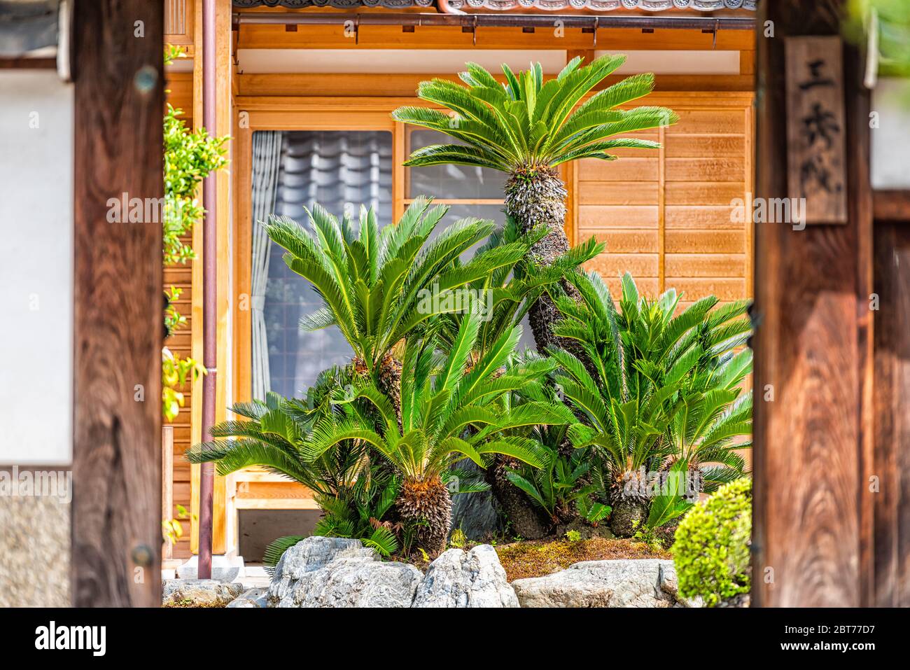 Kyoto, Giappone Kogenji Tempio zen giardino edificio ingresso in Arashiyama con nessuno e foglie di palme verdi con cornice di porte in legno Foto Stock