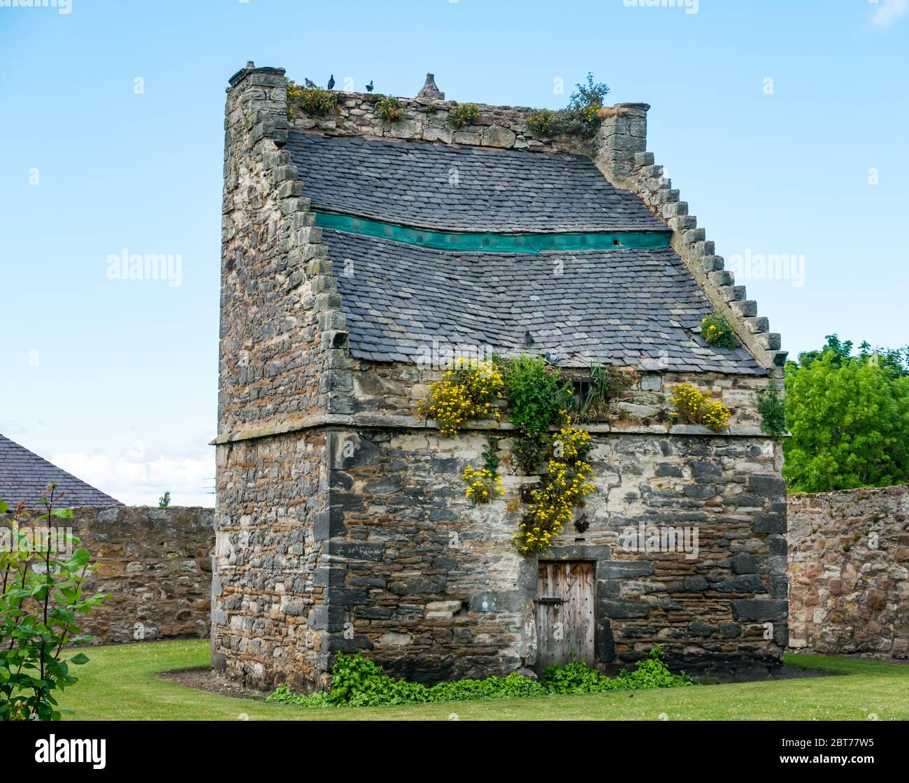 Rovinato storico trascurato vecchio cadere colombaia, Preston Tower Grounds, Prestonpans, East Lothian, Scozia, Regno Unito Foto Stock