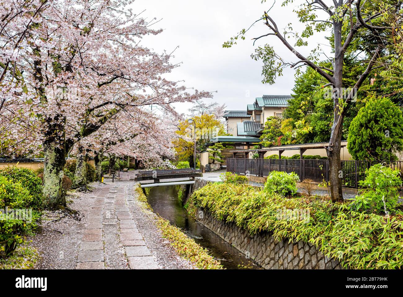 Kyoto, Giappone ciliegia fioritura petali di fiori sakura caduti a terra in primavera nel famoso parco giardino percorso di Philosopher dal fiume e nessuno Foto Stock