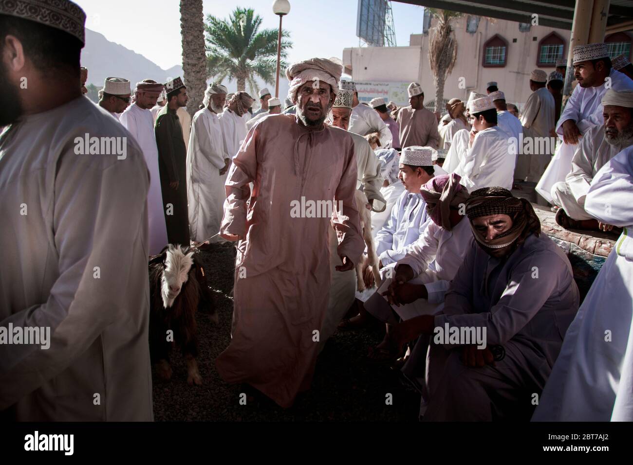 Nizwa, Oman, 24 aprile 2015 - l'asta della capra nel mercato del bestiame di Nizwa è uno dei grandi eventi che accade ogni venerdì Foto Stock