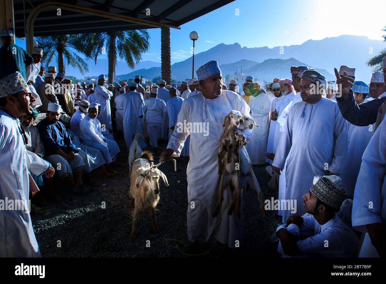 Nizwa, Oman, 24 aprile 2015 - l'asta della capra nel mercato del bestiame di Nizwa è uno dei grandi eventi che accade ogni venerdì Foto Stock