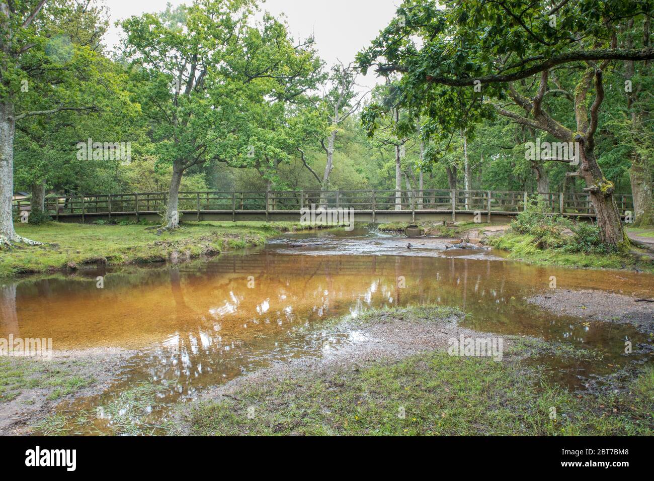 Puttles Bridge è un ponte pedonale che attraversa Ober Water nella New Forest, Regno Unito Foto Stock