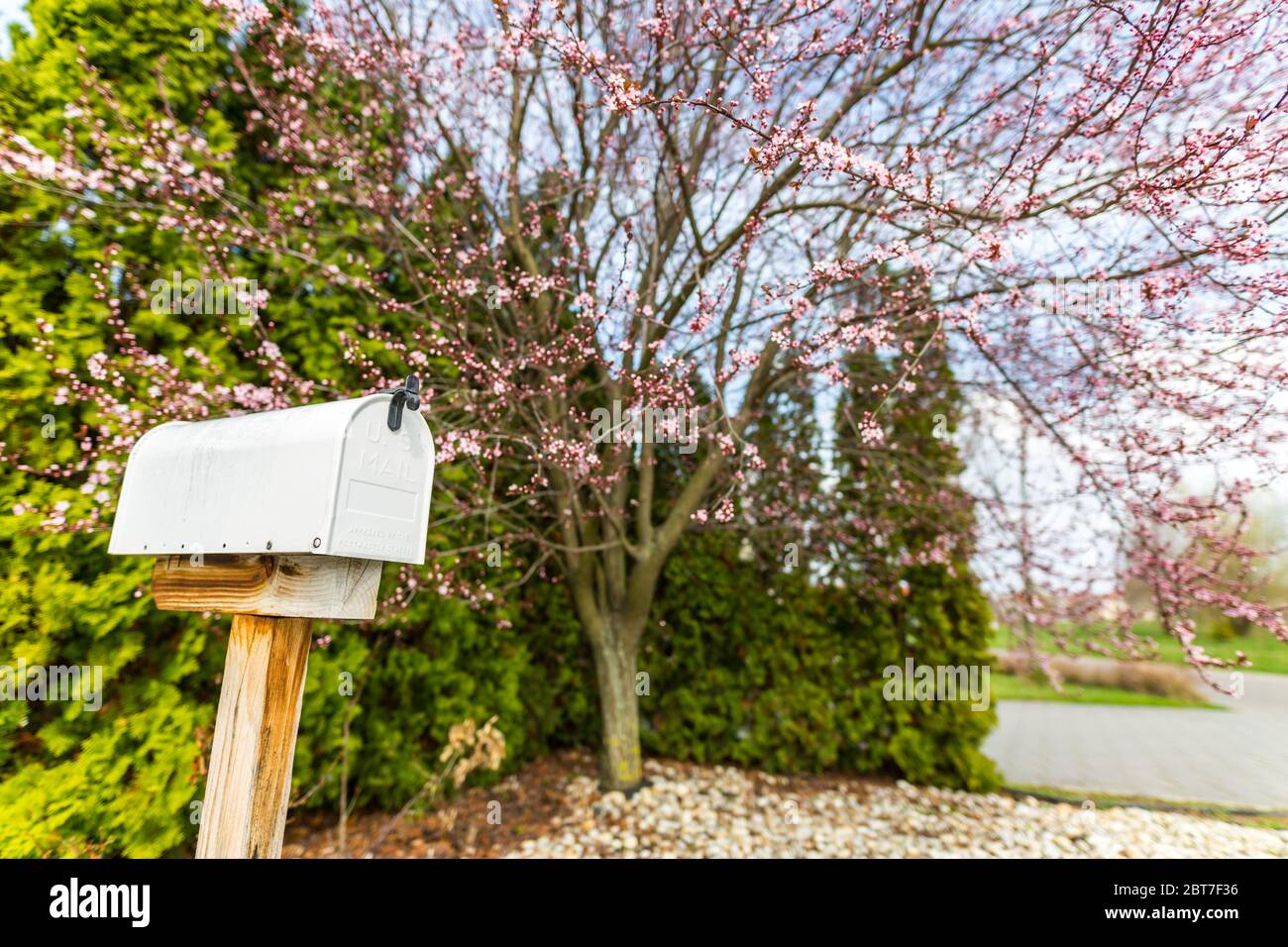 Casella postale bianca di fronte a una casa accanto al viale con alberi di primavera e alberi verdi sempreverdi Foto Stock
