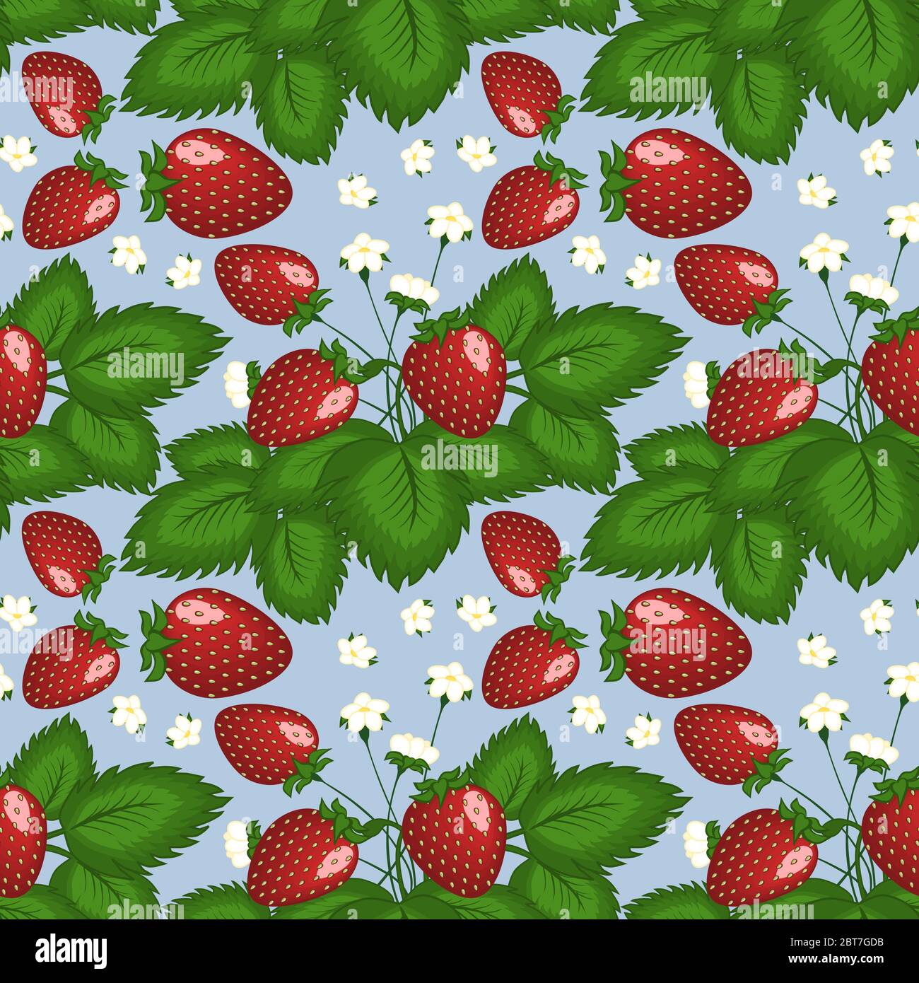 Illustrazione quadrata, disegno - cespugli di giardino di fragole con frutta  - frutti rossi - e fiori. Texture, pattern senza cuciture. Sfondo per sito  o blog, tessuti, imballaggi Foto stock - Alamy