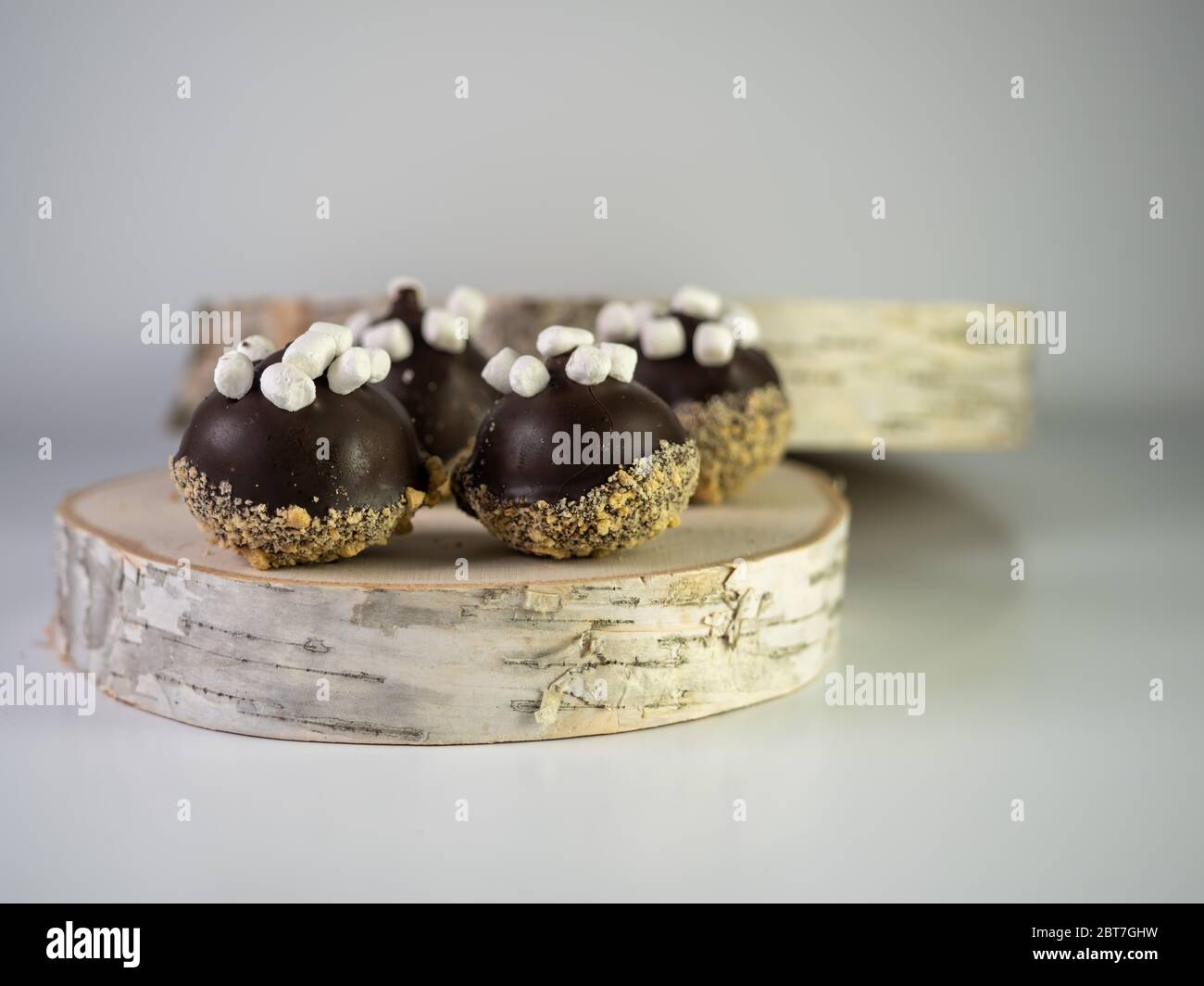 La palla di torta s’MORS è piena di cracker graham, cioccolato e mini marshmallow accatastati su un pezzo di legno naturale con fondo bianco. Delizioso pasticcio Foto Stock