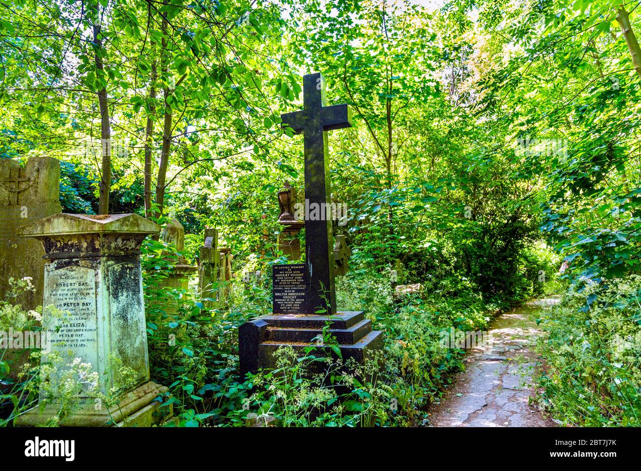 Attraversa e percorre Abney Park Cemetery, uno dei magnifici sette cimiteri vittoriani, Londra, Regno Unito Foto Stock