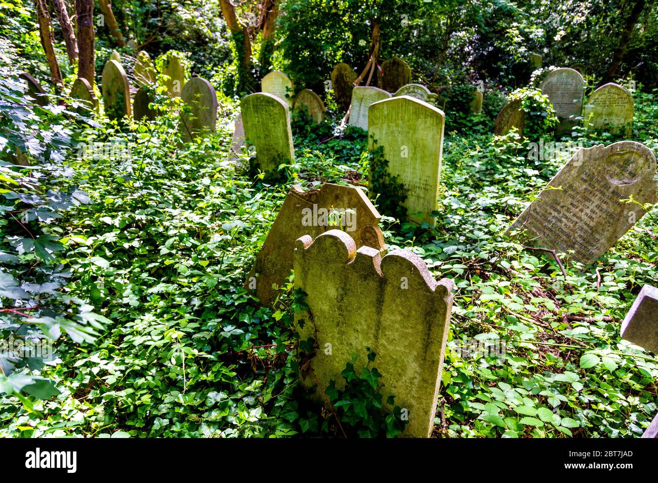 Le pietre angolari sono cresciute con edera all'Abney Park Cemetery, Londra, Regno Unito Foto Stock