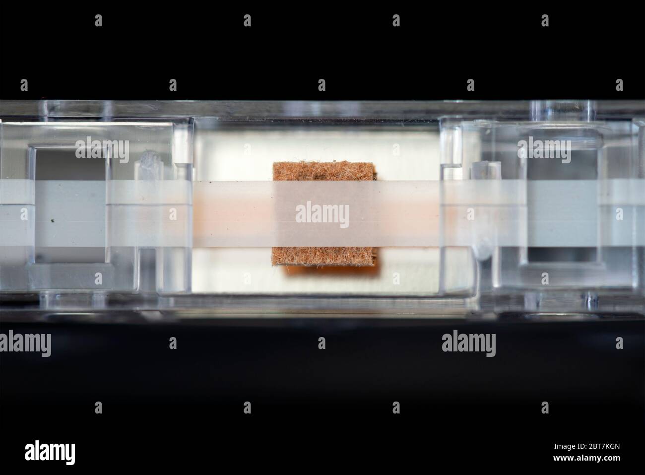 Dettaglio dell'apertura della testina del nastro magnetico e del cuscinetto a pressione del nastro audio Foto Stock