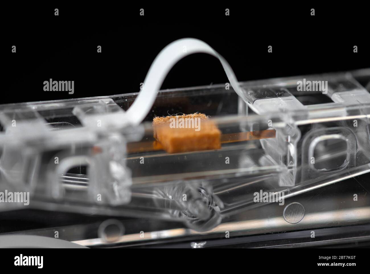 Apertura della testina del nastro magnetico e chiusura del cuscinetto a pressione dei dettagli del nastro audio Foto Stock