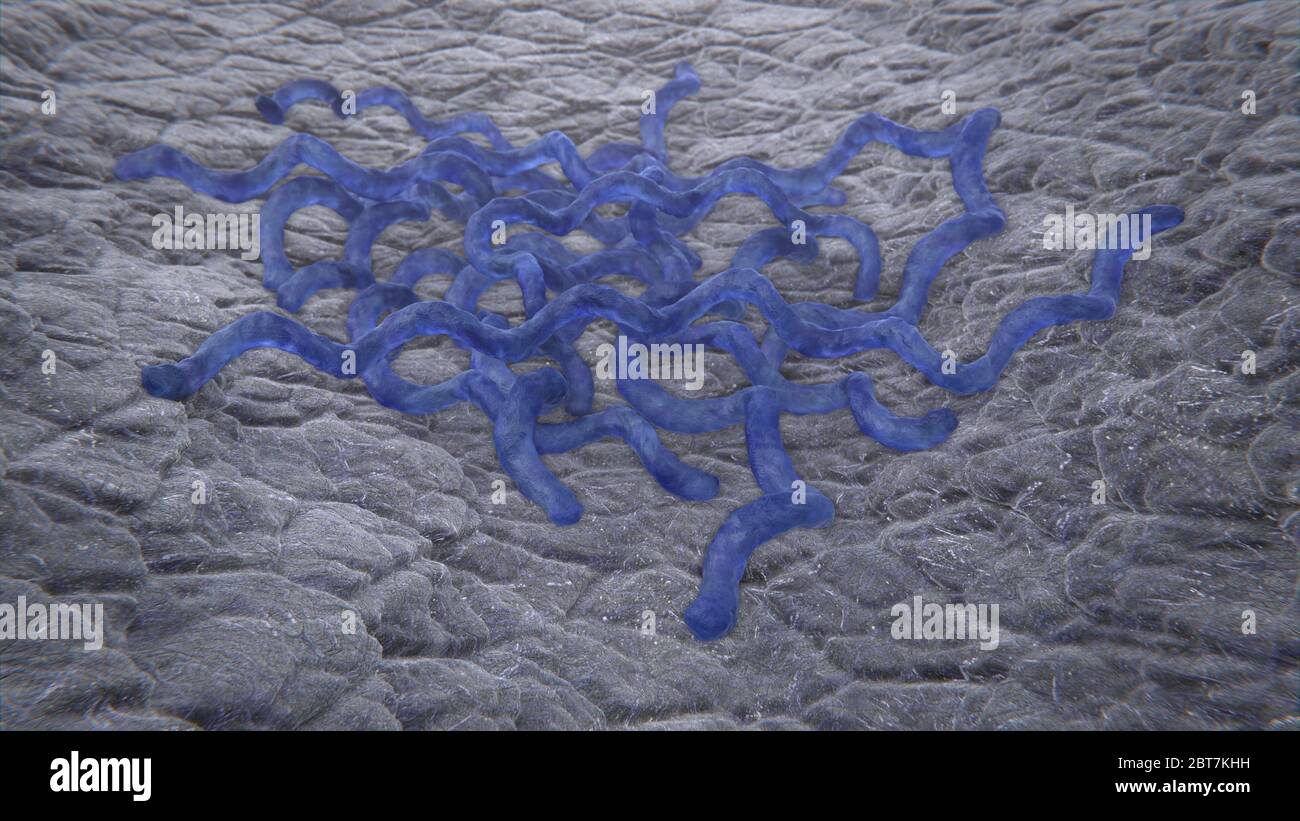 illustrazione 3d della malattia mortale di blues di sifilide dei batteri Foto Stock