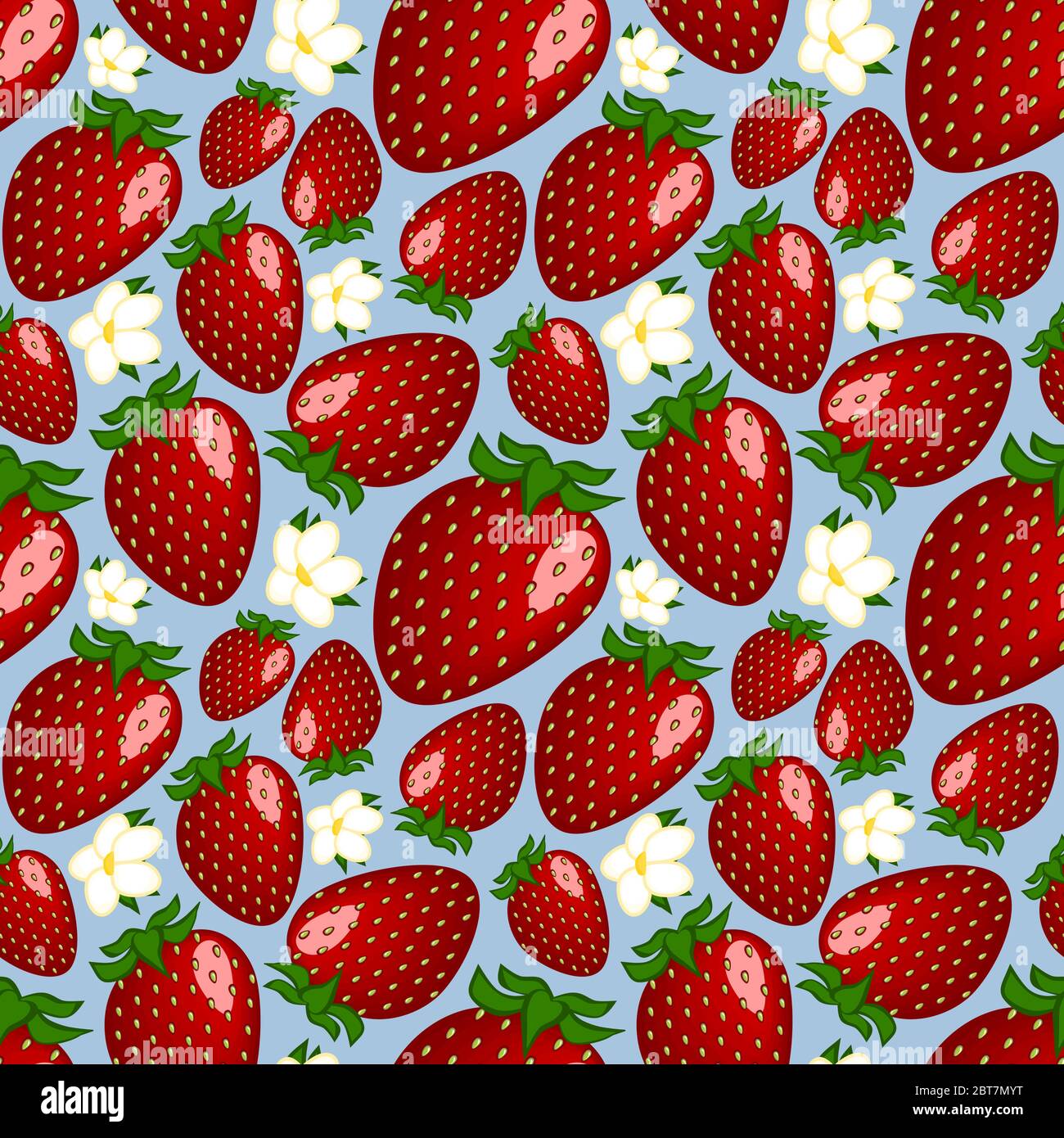 Disegno quadrato, illustrazione - fragole rosse mature delizioso giardino fragole o fragole e fiori bianchi giacciono su uno sfondo blu. Texture senza cuciture, motivo - sito, blog, tessuti. Imballaggio, sfondo Illustrazione Vettoriale
