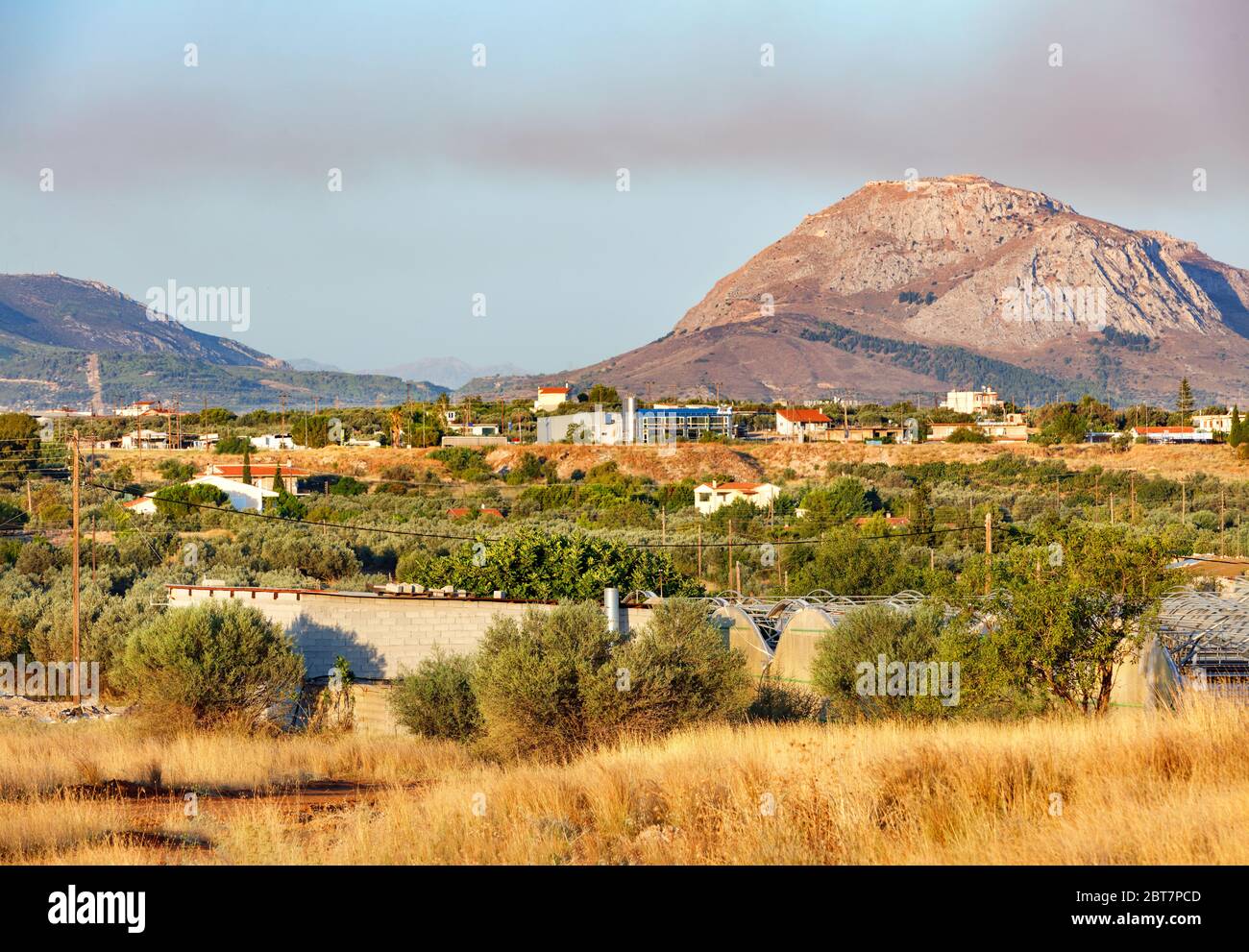 Gli oliveti sono illuminati dalla luce solare nella valle sullo sfondo delle catene montuose vicino alla città di Corinto, in Grecia. Foto Stock