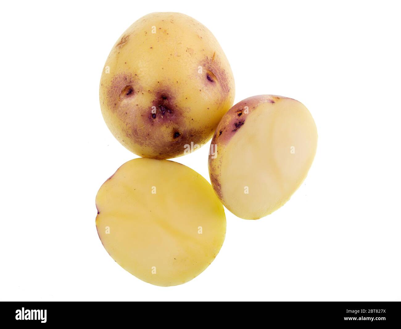 Moderna varietà di patate chiamato Kestrel e noto per la loro unica viola arrossire intorno agli occhi poco profondi Foto Stock